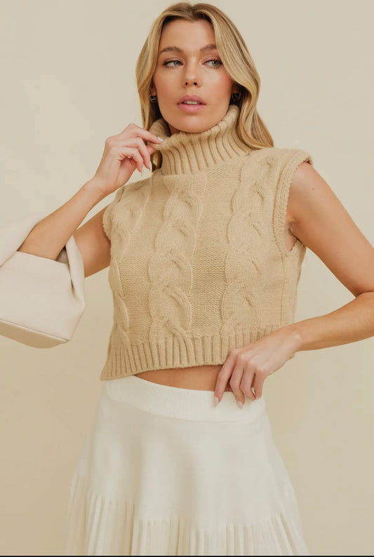 Turtle Neck Cropped Sweater